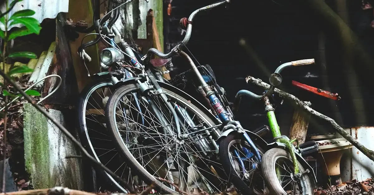 Das fahrrad und andere erfindungen