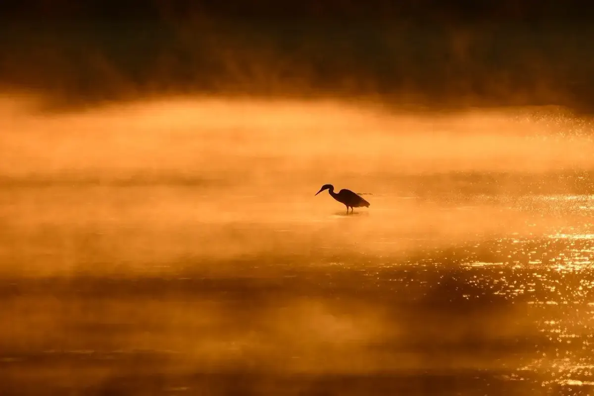Heron erfindungen