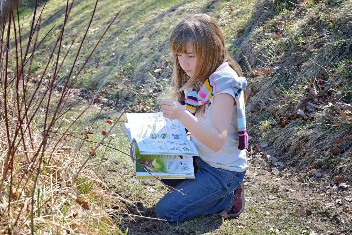 Geniale erfindungen der natur sich und andere informieren