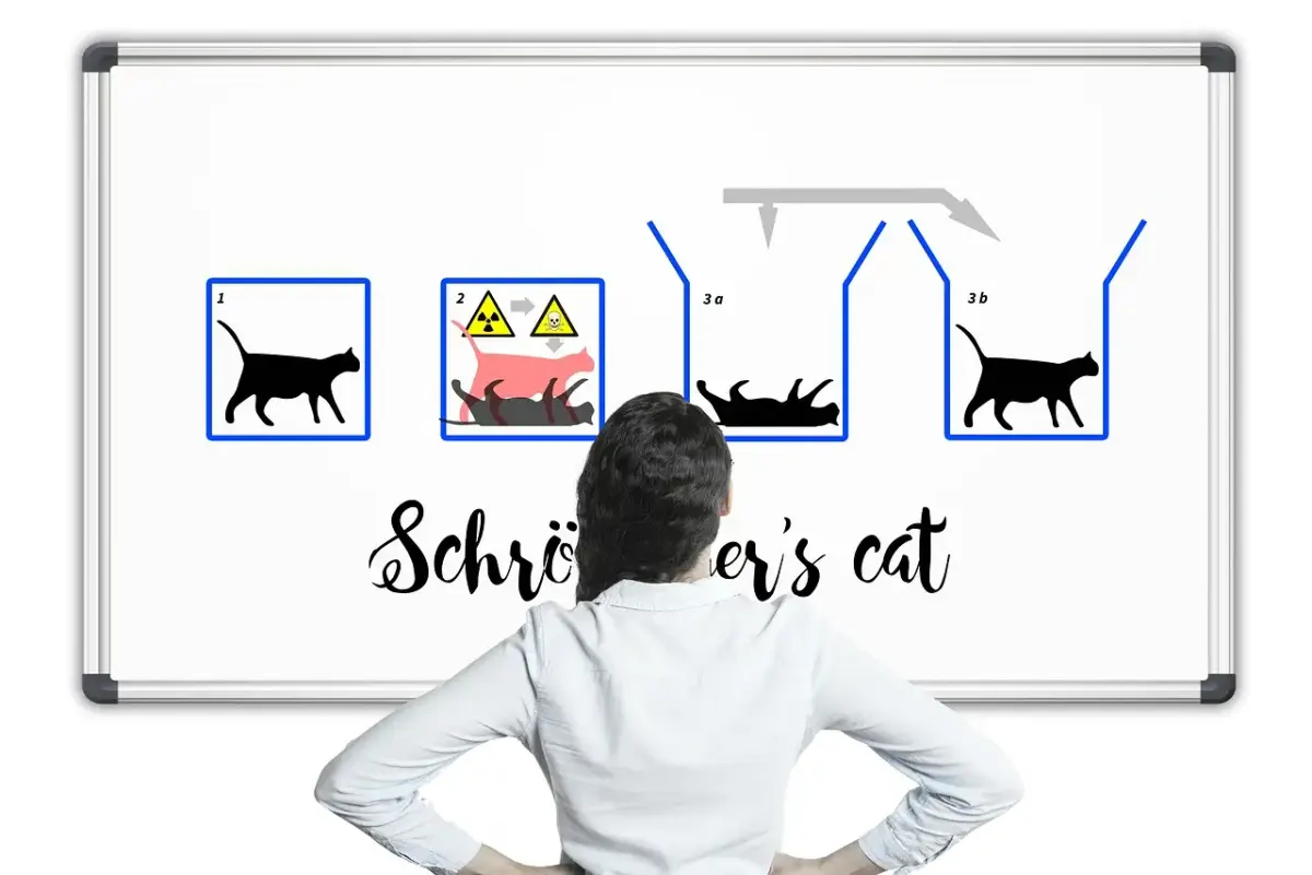 Erwin schrödinger erfindungen